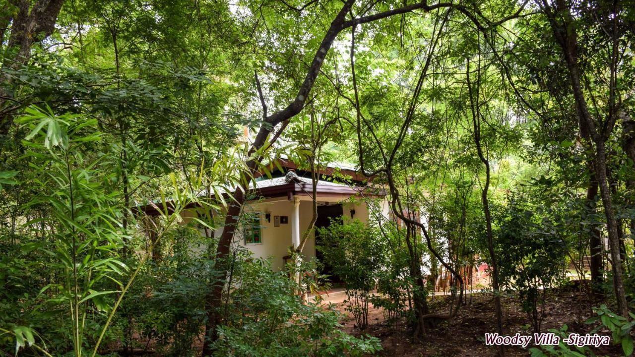 Woodsy Villa Sigirîya Extérieur photo
