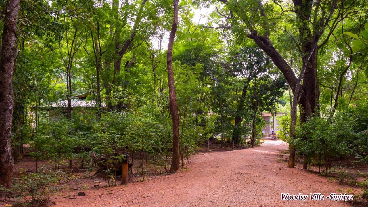 Woodsy Villa Sigirîya Extérieur photo